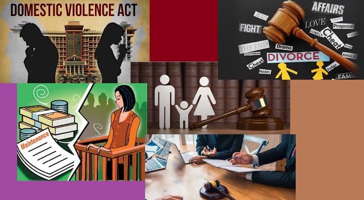 Family Courts